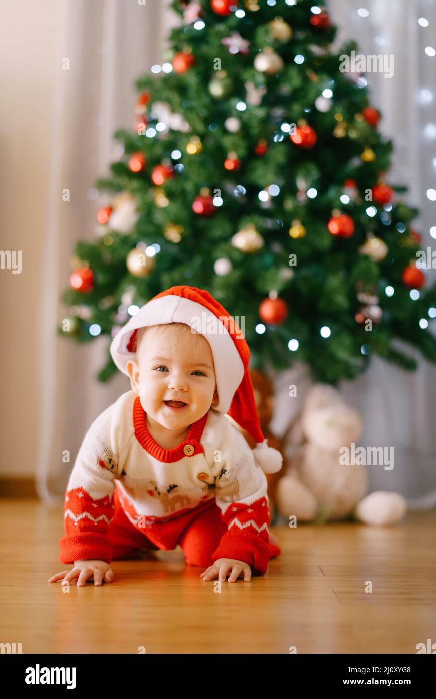 Baby in a knitted reindeer costume and Santa hat is crawling in front of a Christmas tree Stock Photo