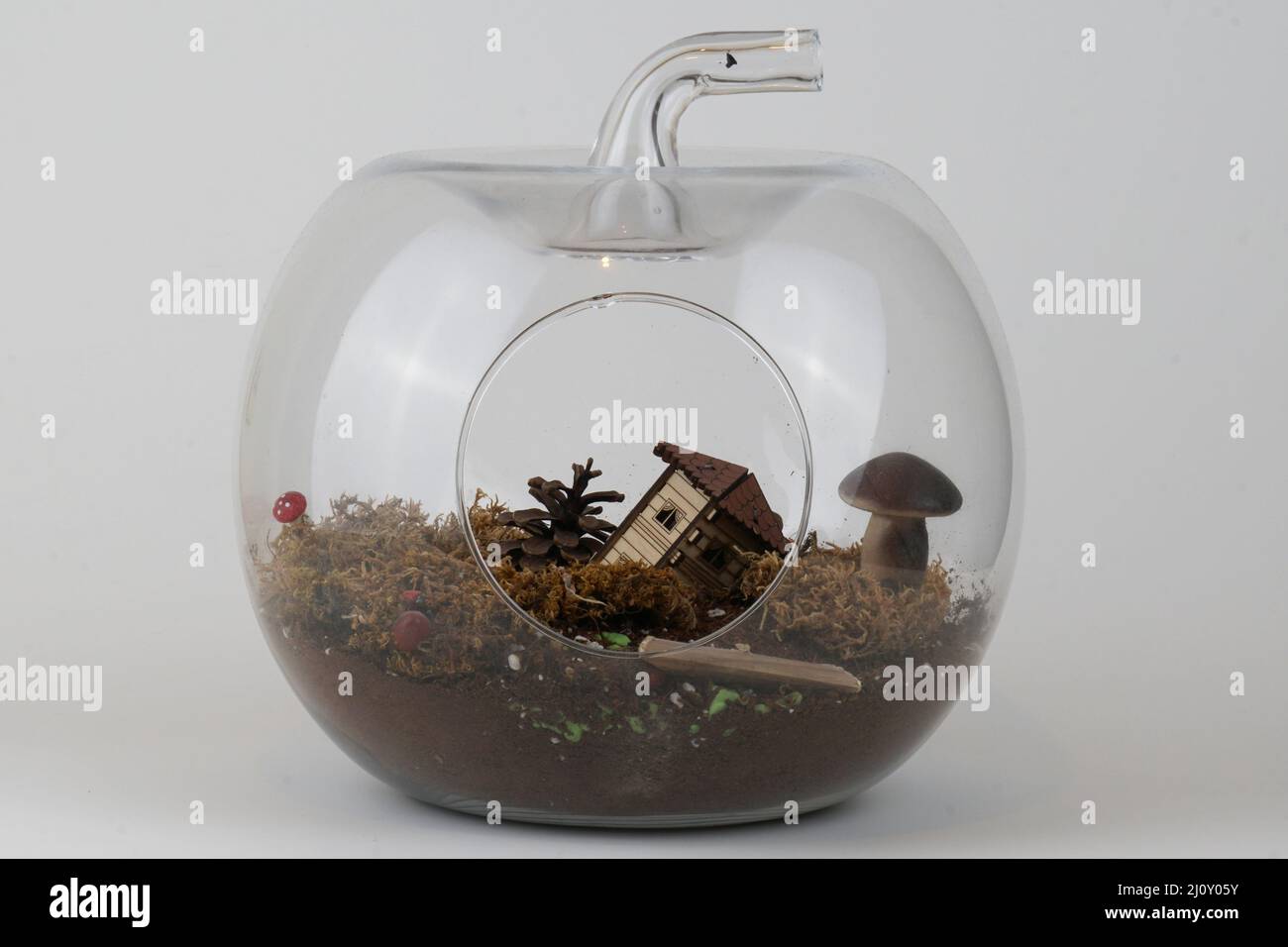 Cropped view of terrarium with tiny house and garden miniatures, taken in isolated area, on white background. Stock Photo