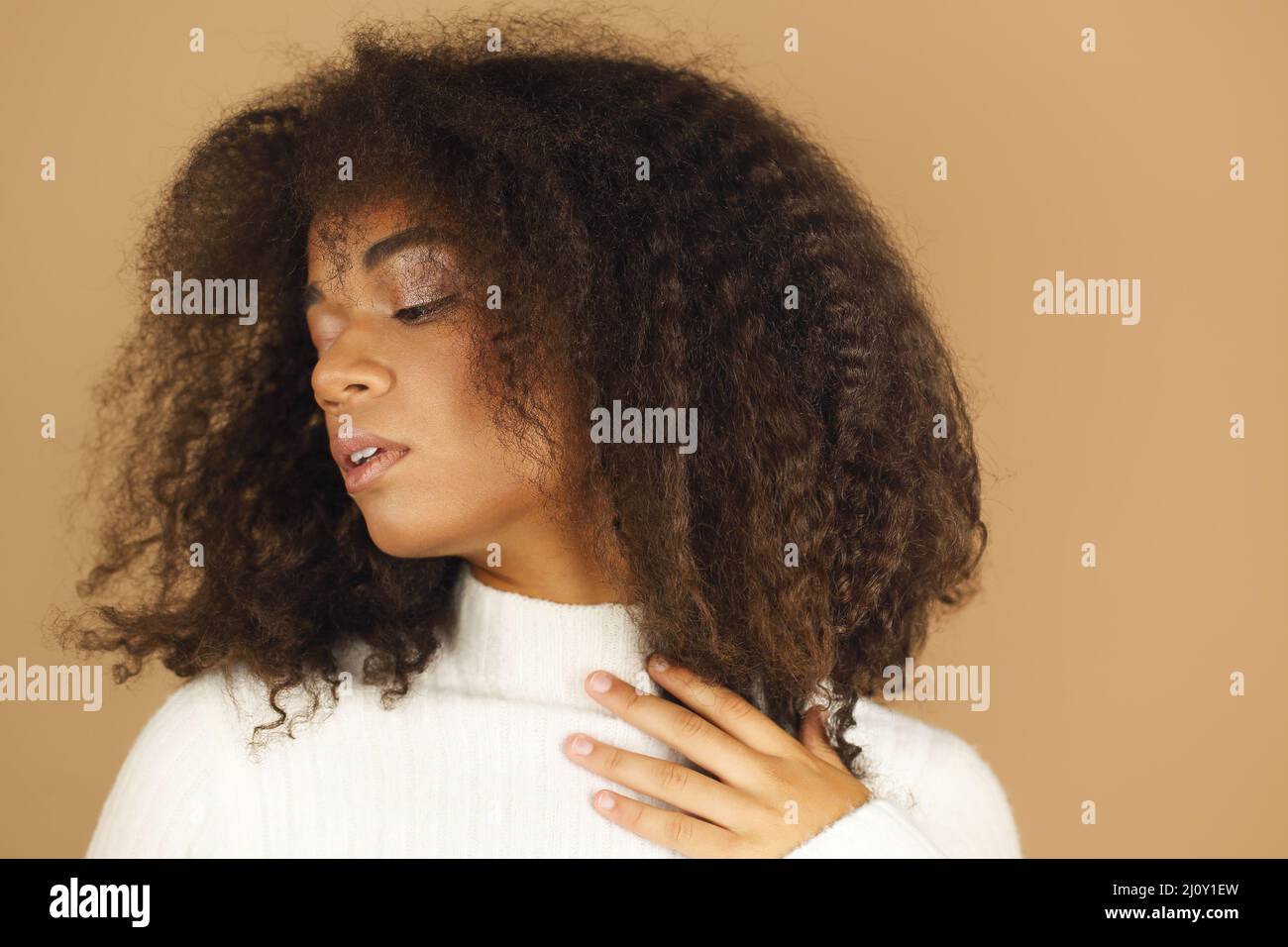 Studio shot of gorgeous cheerful african american young woman with curly hair Stock Photo