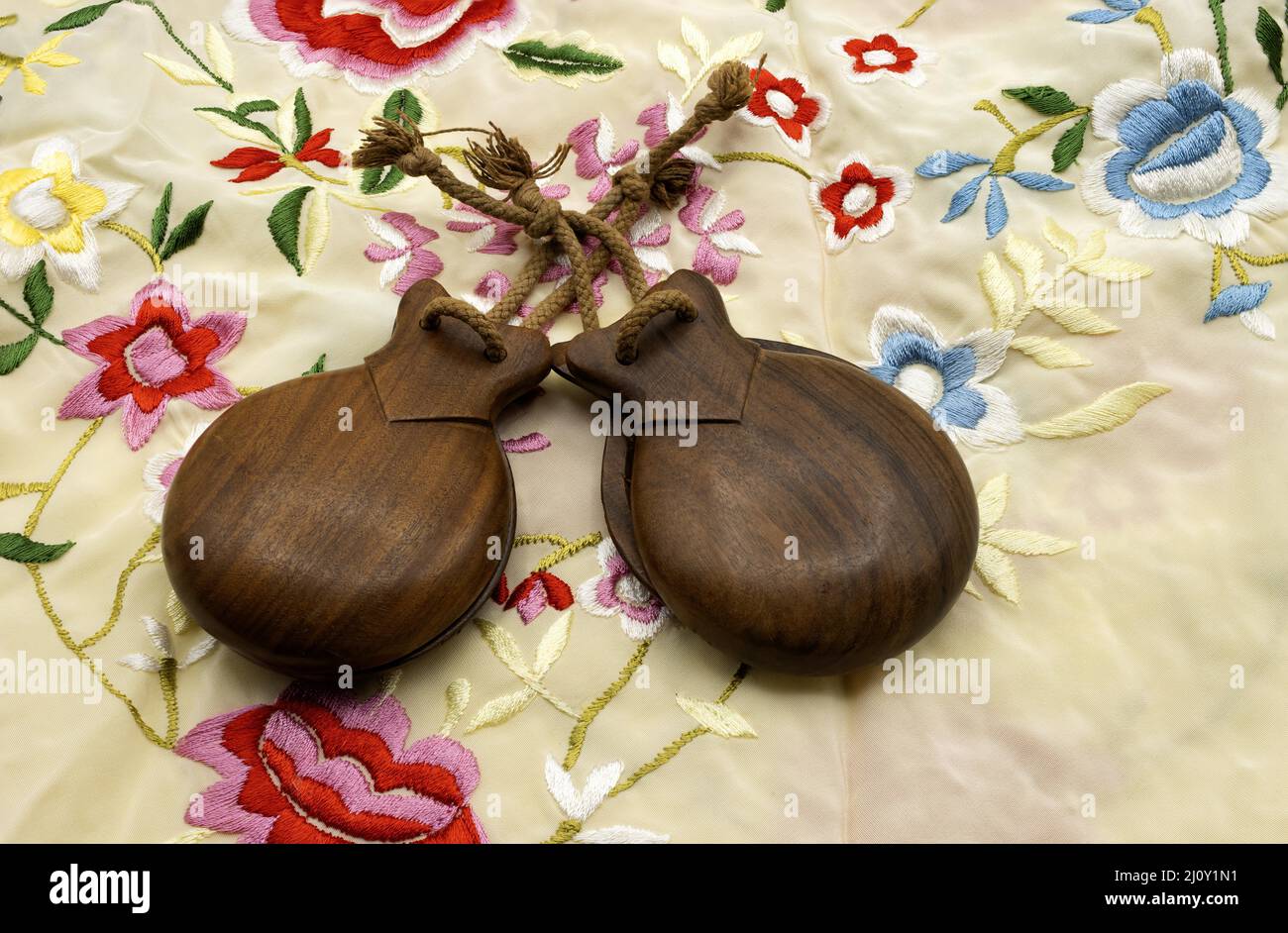 Spanish typical musical instrument of Spanish folklore