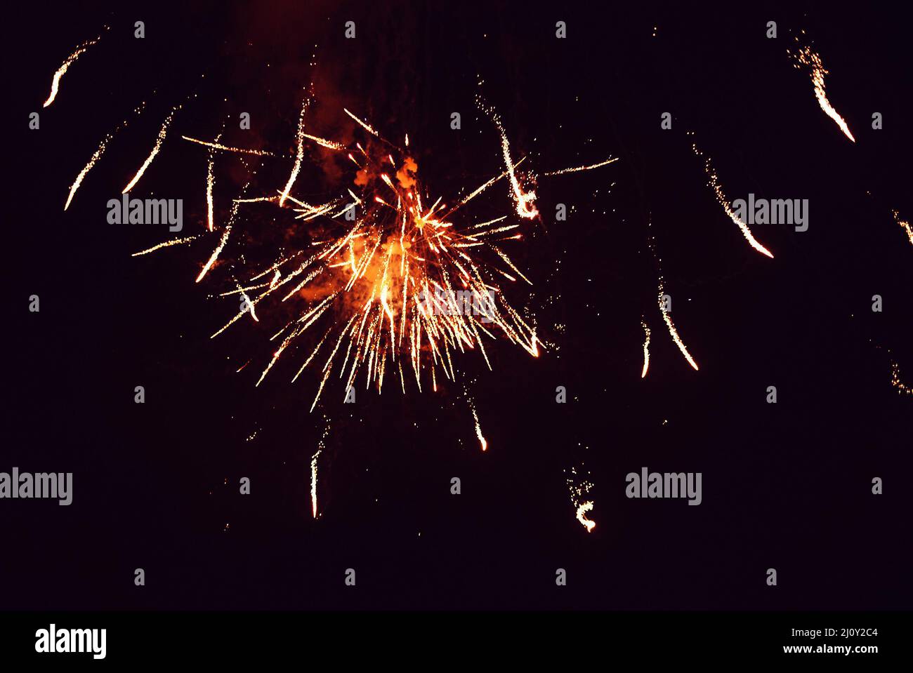 Firework. Celebratory bright firework in a night sky. Stock Photo