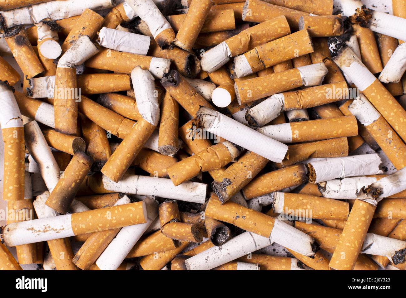 Tabacco Da Fiuto Asciutto Inglese Fotografia Stock - Immagine di alto,  polverizzato: 125425388