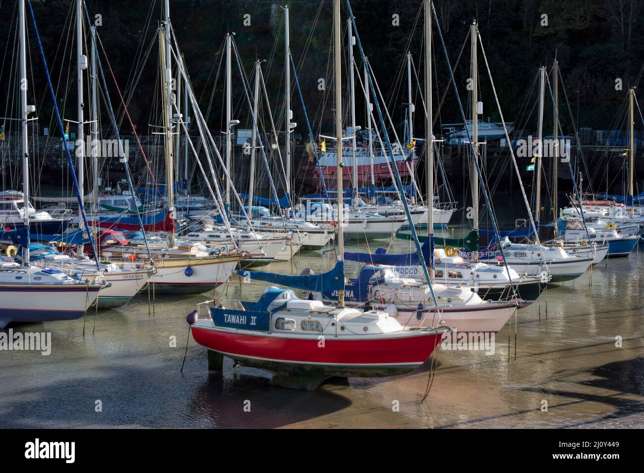ILFRACOMBE, DEVON, UK - OCTOBER 19 : View of Ilfracombe harbour on October 19, 2013] Stock Photo