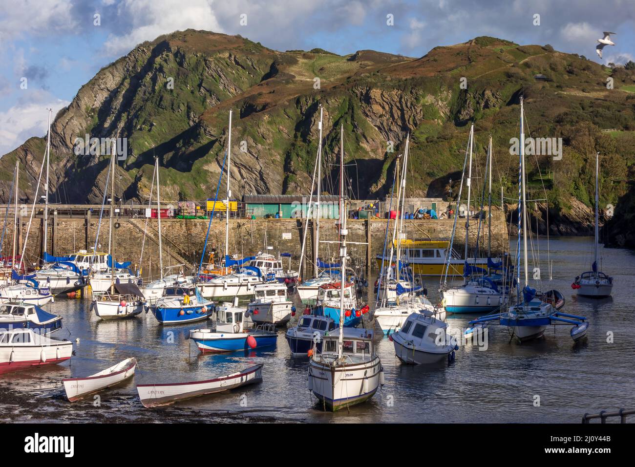 ILFRACOMBE, DEVON, UK - OCTOBER 19 : View of Ilfracombe harbour on October 19, 2013 Stock Photo