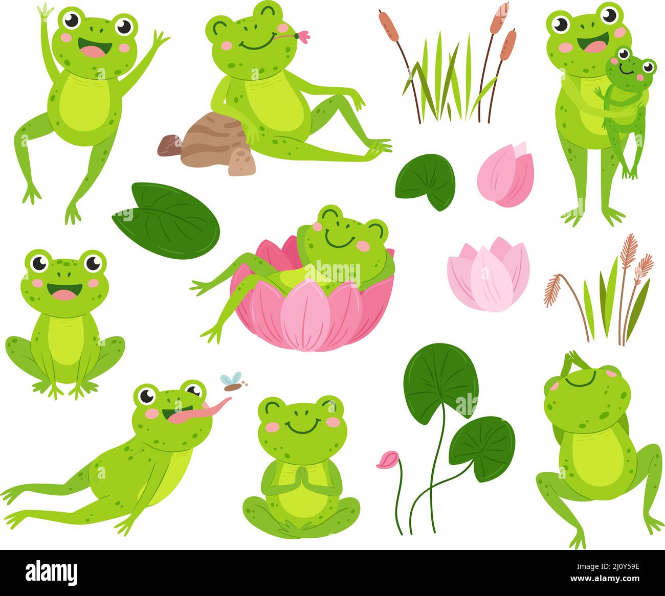 Cartoon frogs. Green frog on pond hold tadpole, cute water toad rest in flower. Wild lily or lotus leaves, isolated neoteric aquatic vector animal in Stock Vector