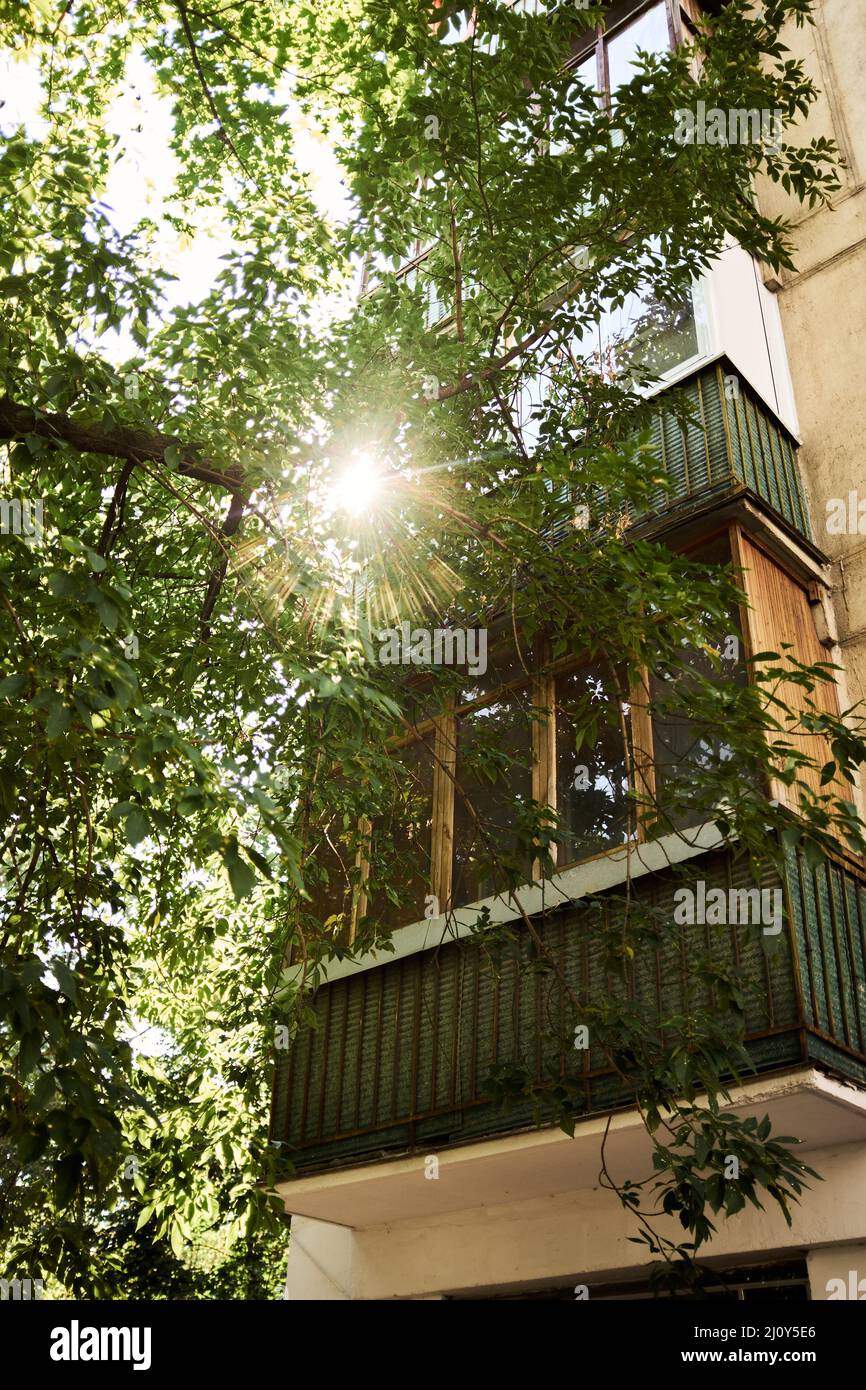Multi-storey building with green balconies, sun's rays make their way through foliage of tall tree. Spring warm light Stock Photo