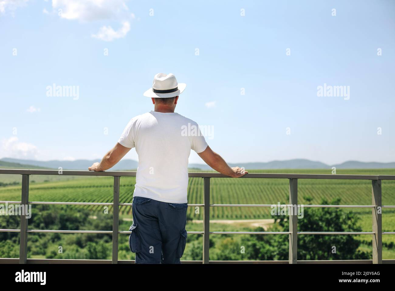Happy winegrower tasting wine in a vineyard in summer Stock Photo
