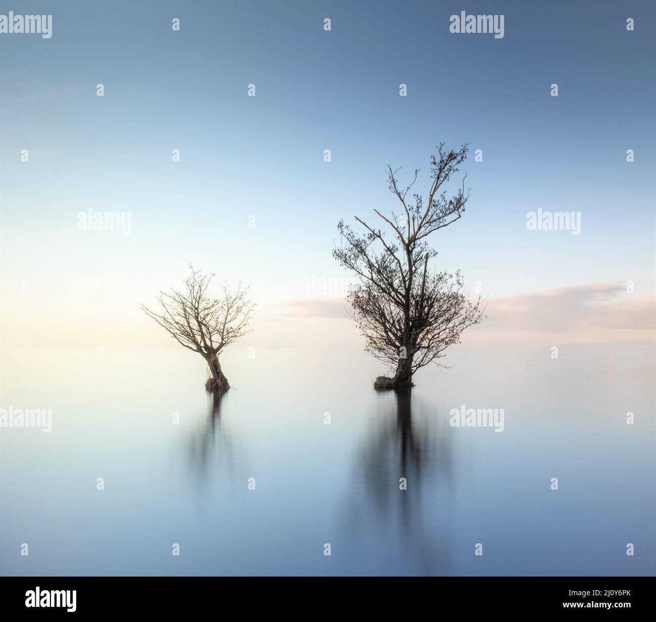 Dawn on Lough Neagh, Northern Ireland Stock Photo