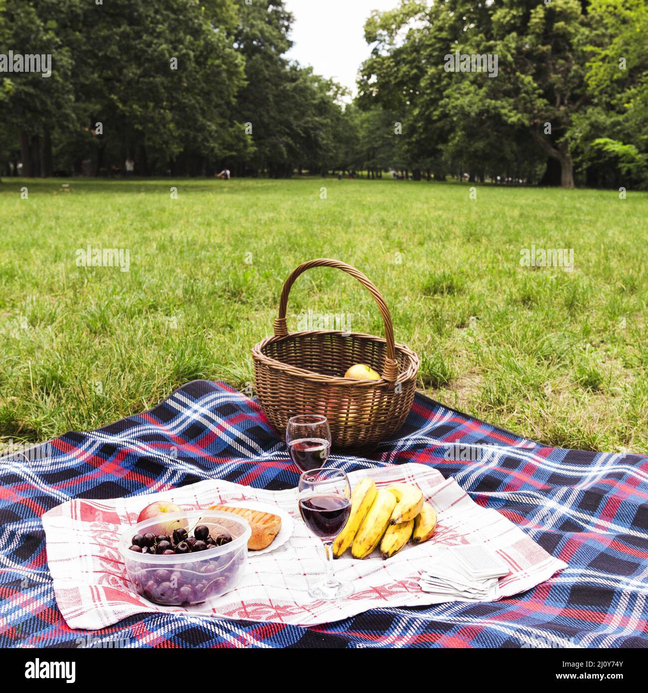 Healthy breakfast wine glasses blanket green grass. High quality photo Stock Photo