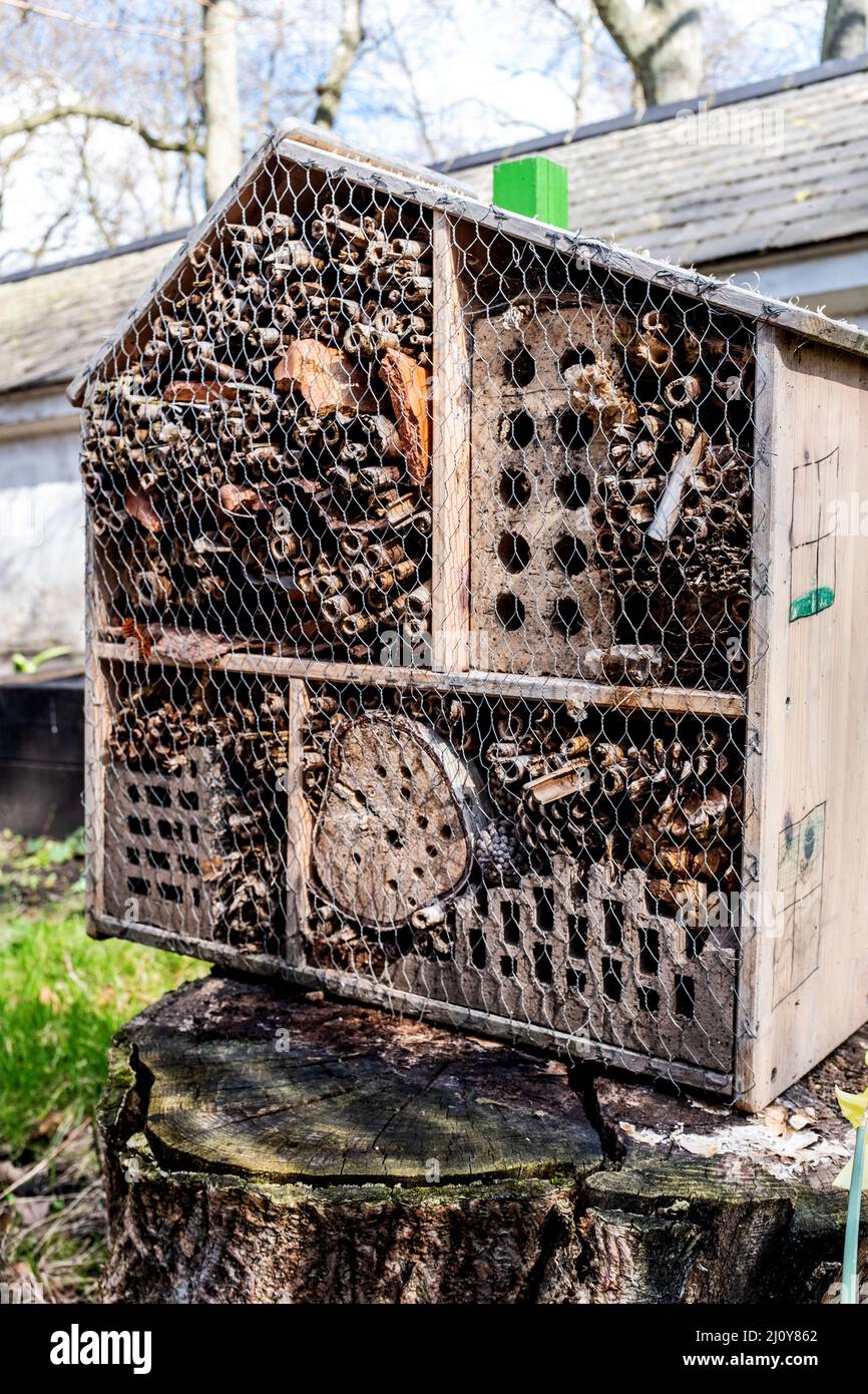 Bug Hotel, Coram's Fields, Bloomsbury, London, UK Stock Photo