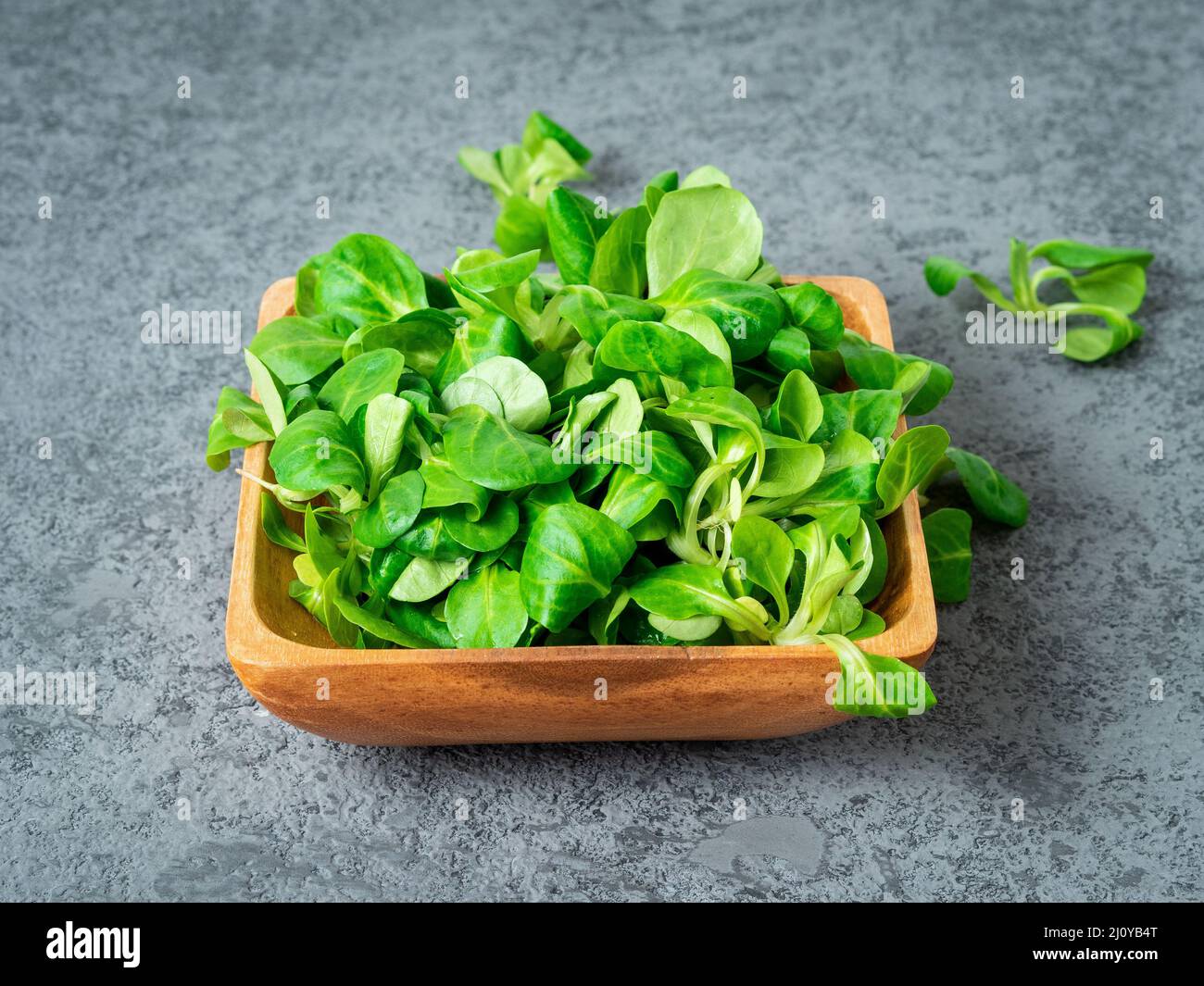 Wooden bowl with corn salad leaves, lamb's lettuce on gray stone background, side view. Stock Photo