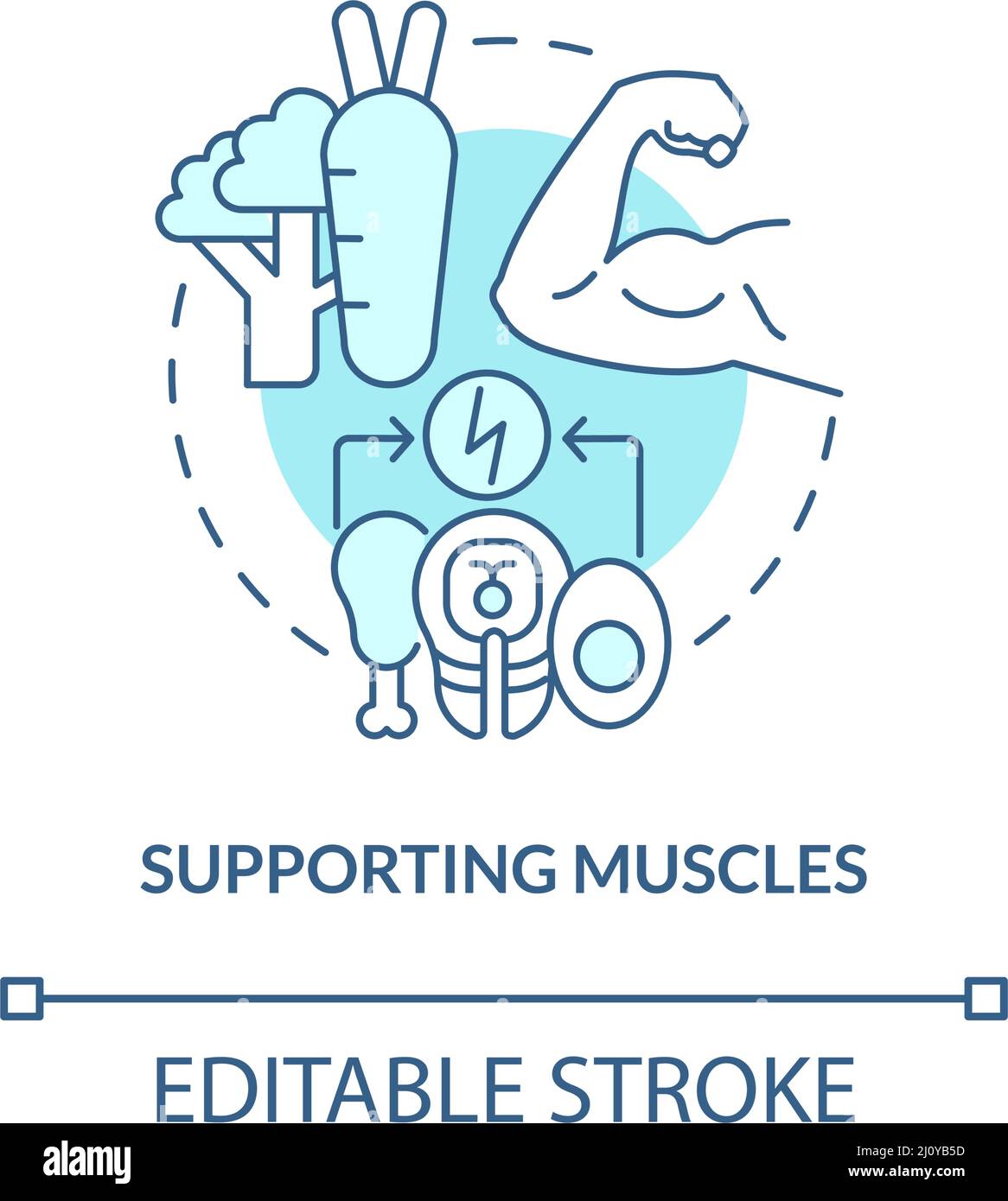 Supporting muscles turquoise concept icon Stock Vector Image & Art - Alamy