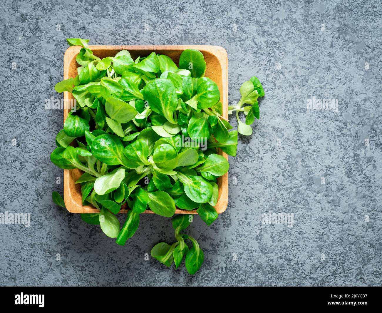 Wooden bowl with corn salad leaves, lamb's lettuce on gray stone background, top view. Stock Photo