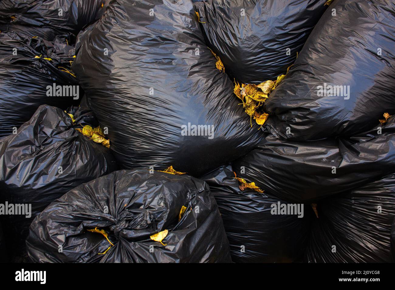 Black bags of garbage. Stock Photo