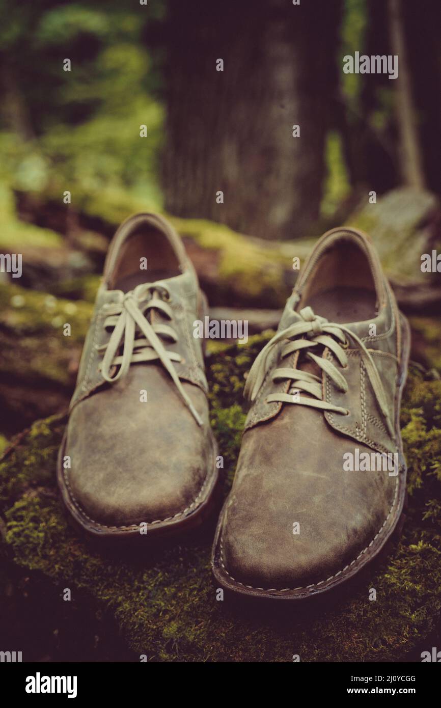 New stylish brown men's shoes. Stock Photo