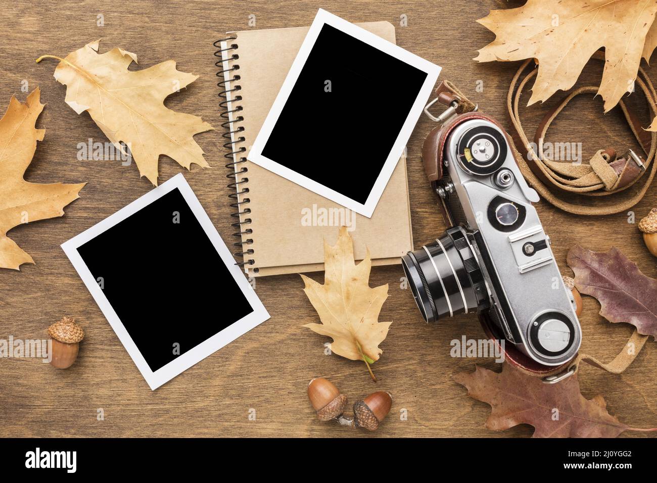 Top view camera with s autumn leaves. High quality photo Stock Photo