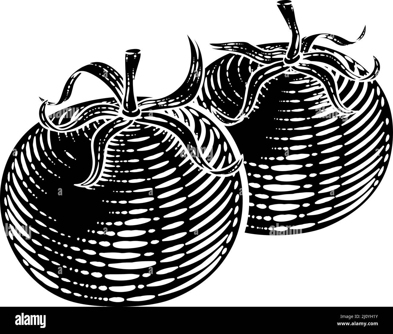 Tomatoes Vegetable Vintage Woodcut Illustration Stock Vector