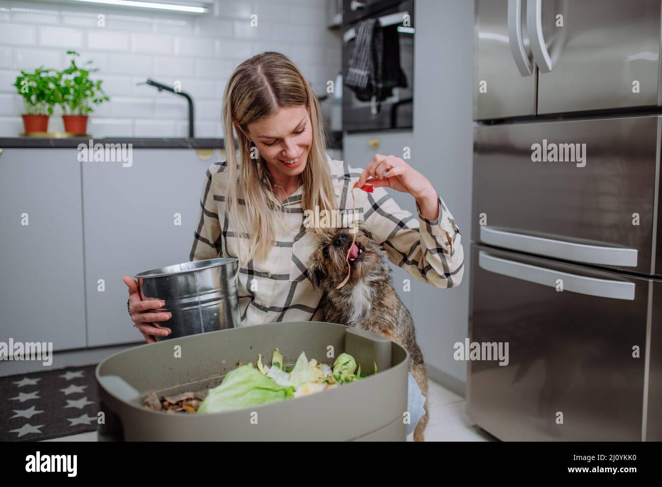 Woman throwing vegetable cuttings in a compost bucket in kitchen and feeding dog. Stock Photo