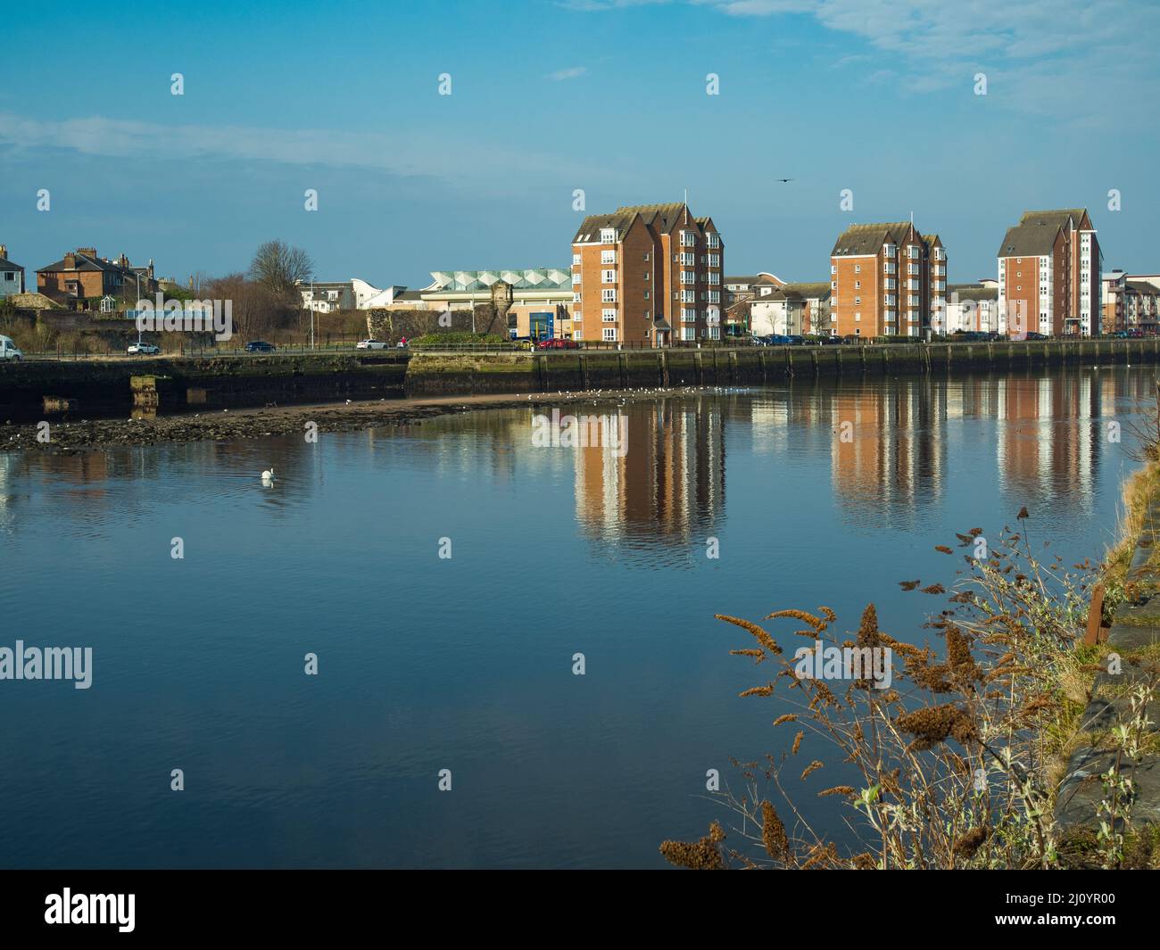 Views of the River Ayr in the town of Ayr on a spring morning in March Stock Photo