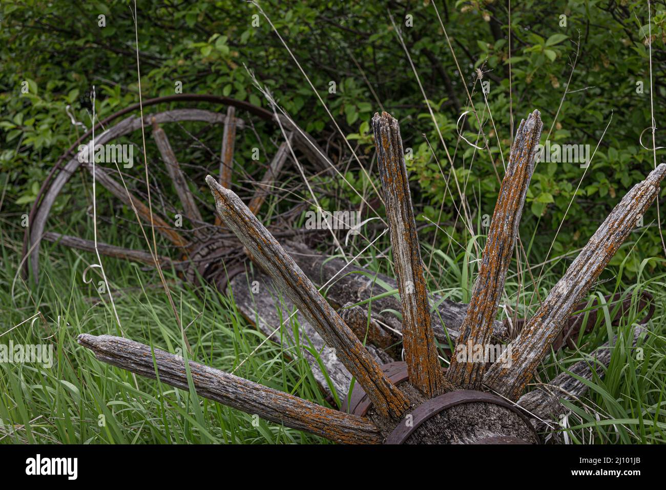 Closeup photo of old wooden wheels in grass Stock Photo Alamy