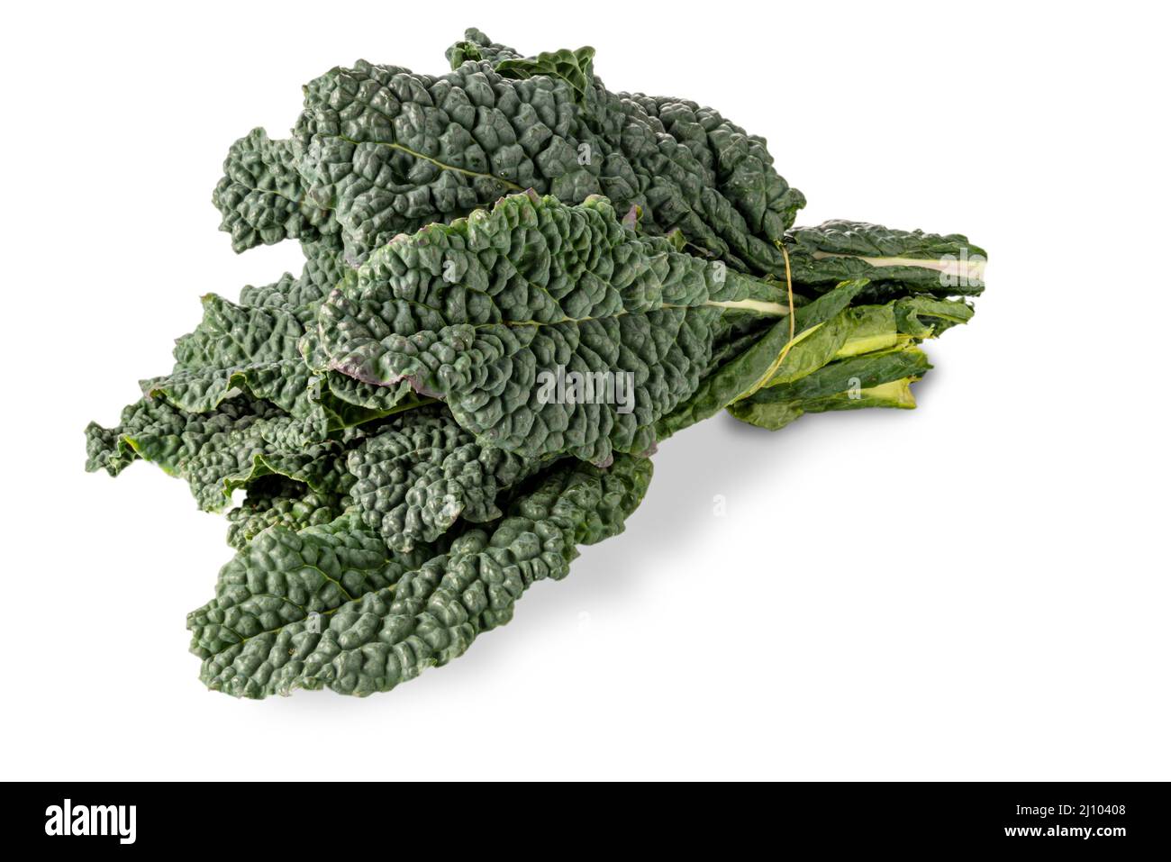 Bunch of Italian black kale or Tuscan kale or lacinato or dinosaur kale isolated on white; clipping path Stock Photo