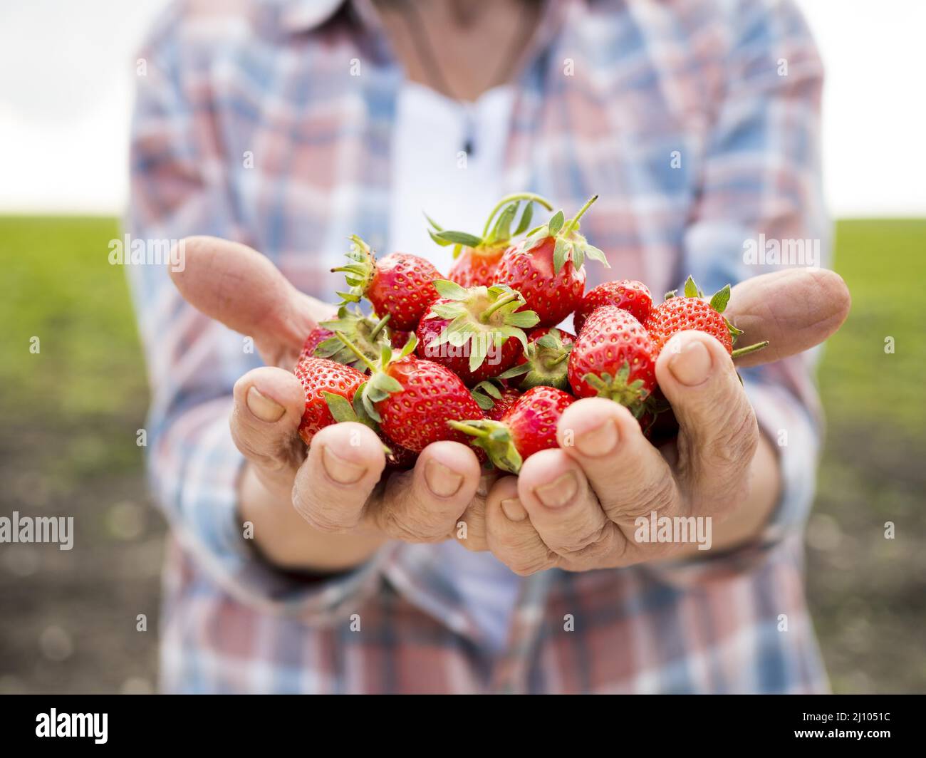 Woman holding white wicker basket hi-res stock photography and images ...