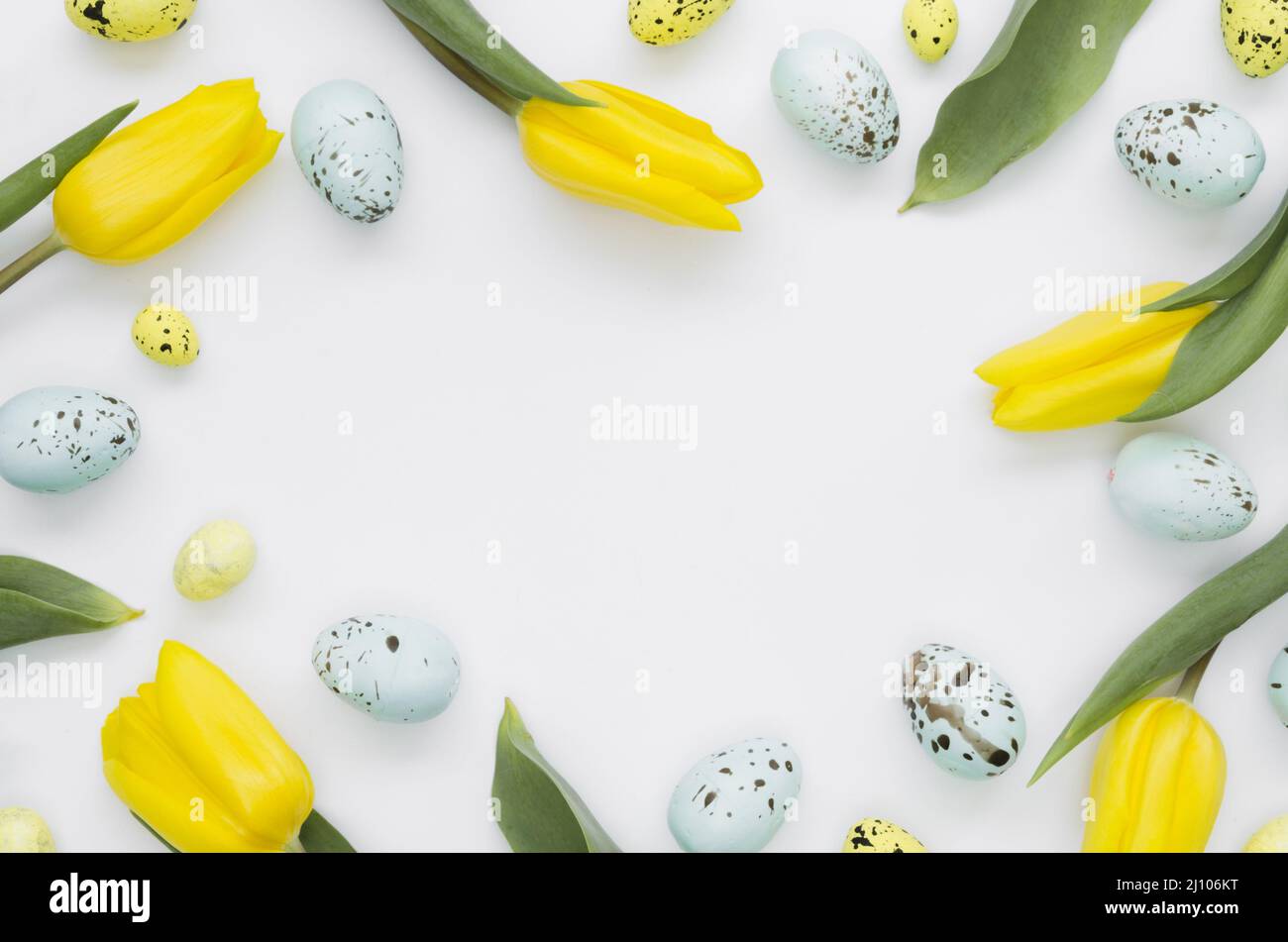 Flat lay eggs easter with tulips frame Stock Photo