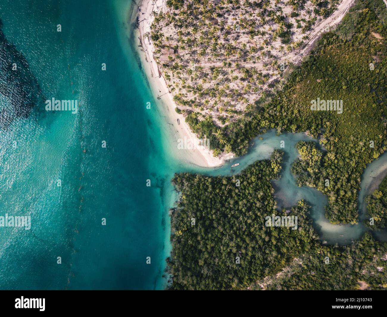 Overhead photo of river going to sea from forest Stock Photo - Alamy