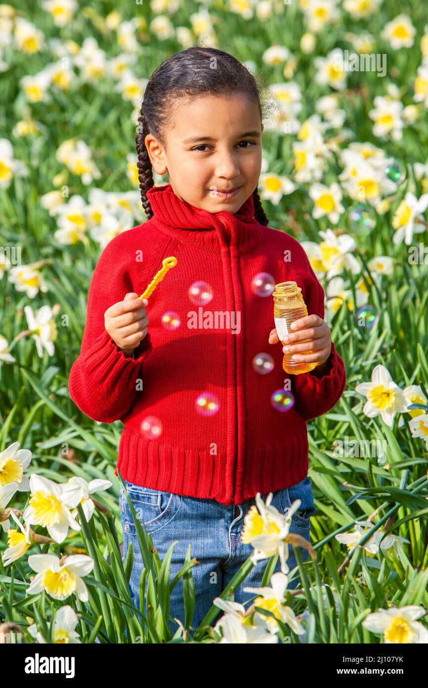 Beautiful young African American mixed race girl standing playing and blowing bubbles in a field of daffodils Stock Photo