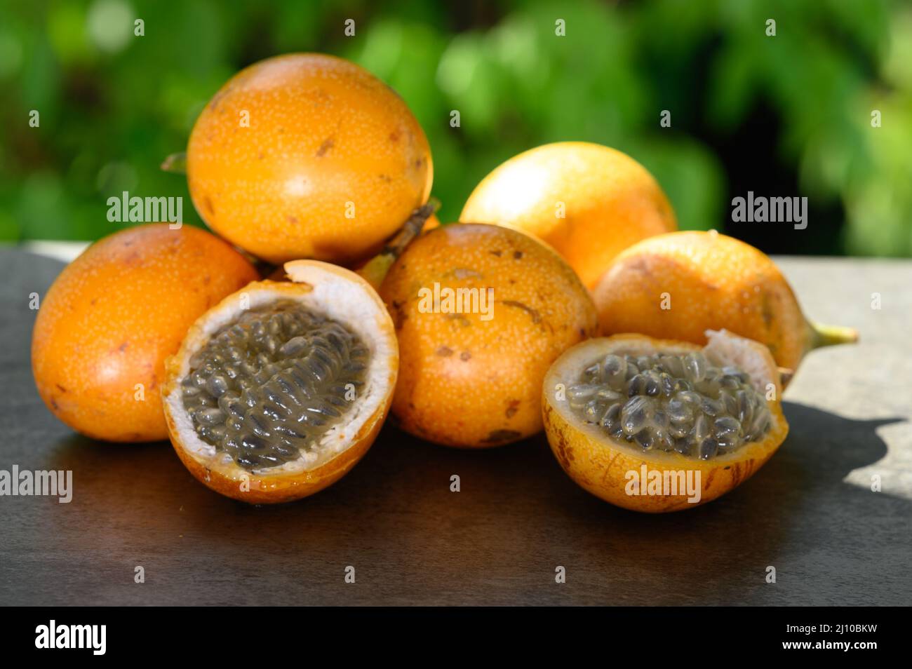 The photo shows an exotic fruit native to the tropics. The tropical