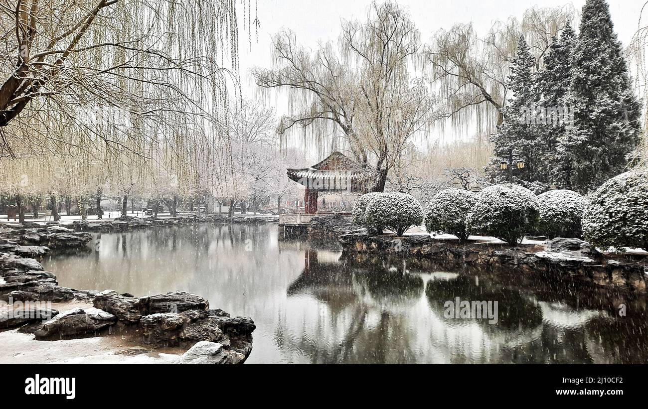 Chinese pavilion by the lake and trees in Ritan Park on snowy day, Beijing, China Stock Photo