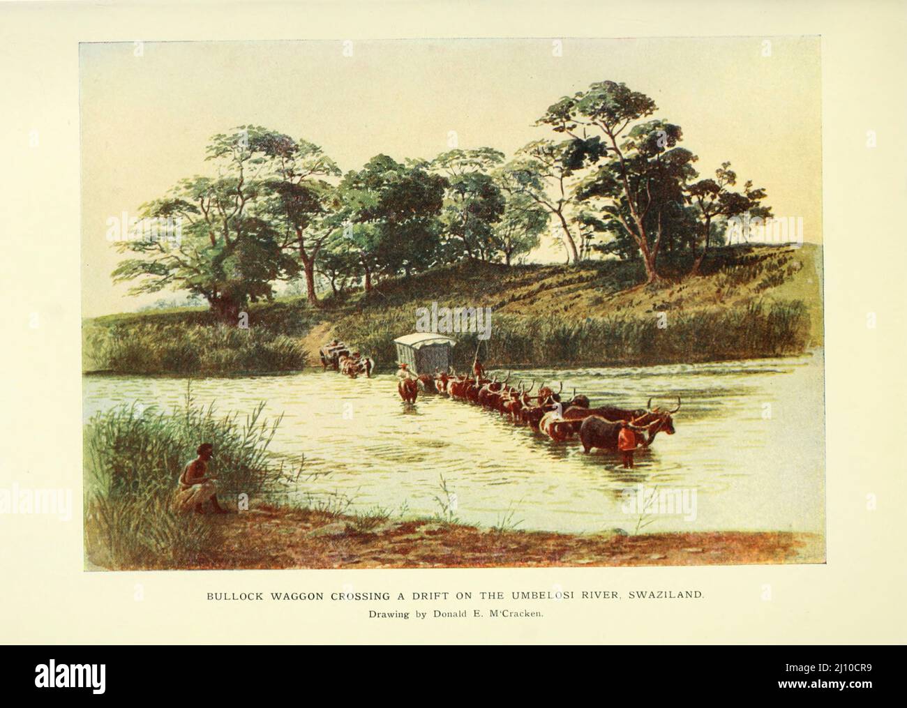 Bullock Waggon crossing a Drift on the Umbelosi River, Swaziland by Donald E. M'Cracken from the book  ' South Africa and the Transvaal war ' by Louis Creswicke, Publisher; Edinburgh : T. C. & E. C. Jack 1900 Stock Photo