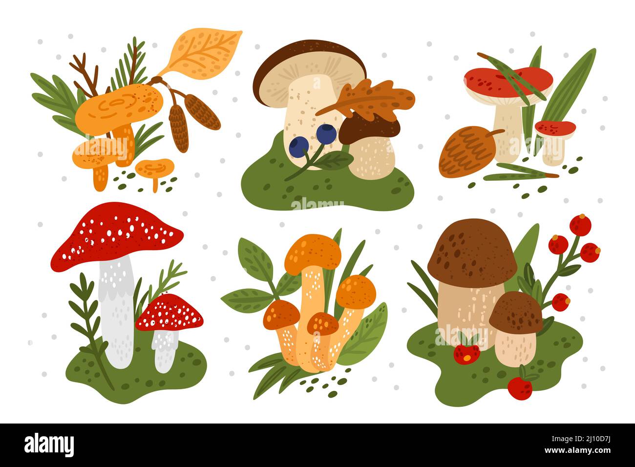 Mushrooms compositions. Forest fungi with plants. Berries and leaves on russula cap. Woodland porcini. Fly agaric and honeydew. Edible and poisonous Stock Vector