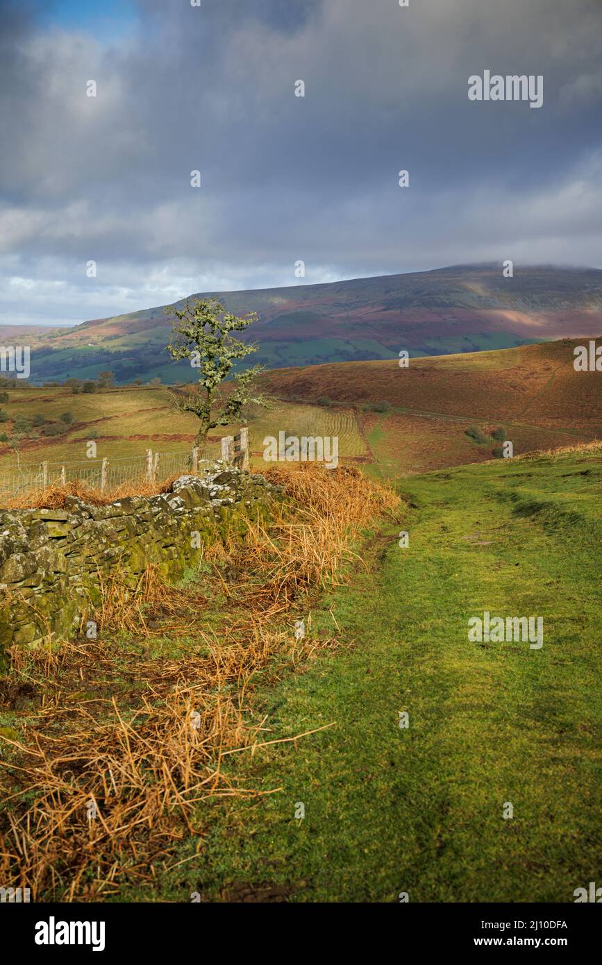 Rolling hills of the Brecon Beacons National Park, near Abergavenny. Stock Photo