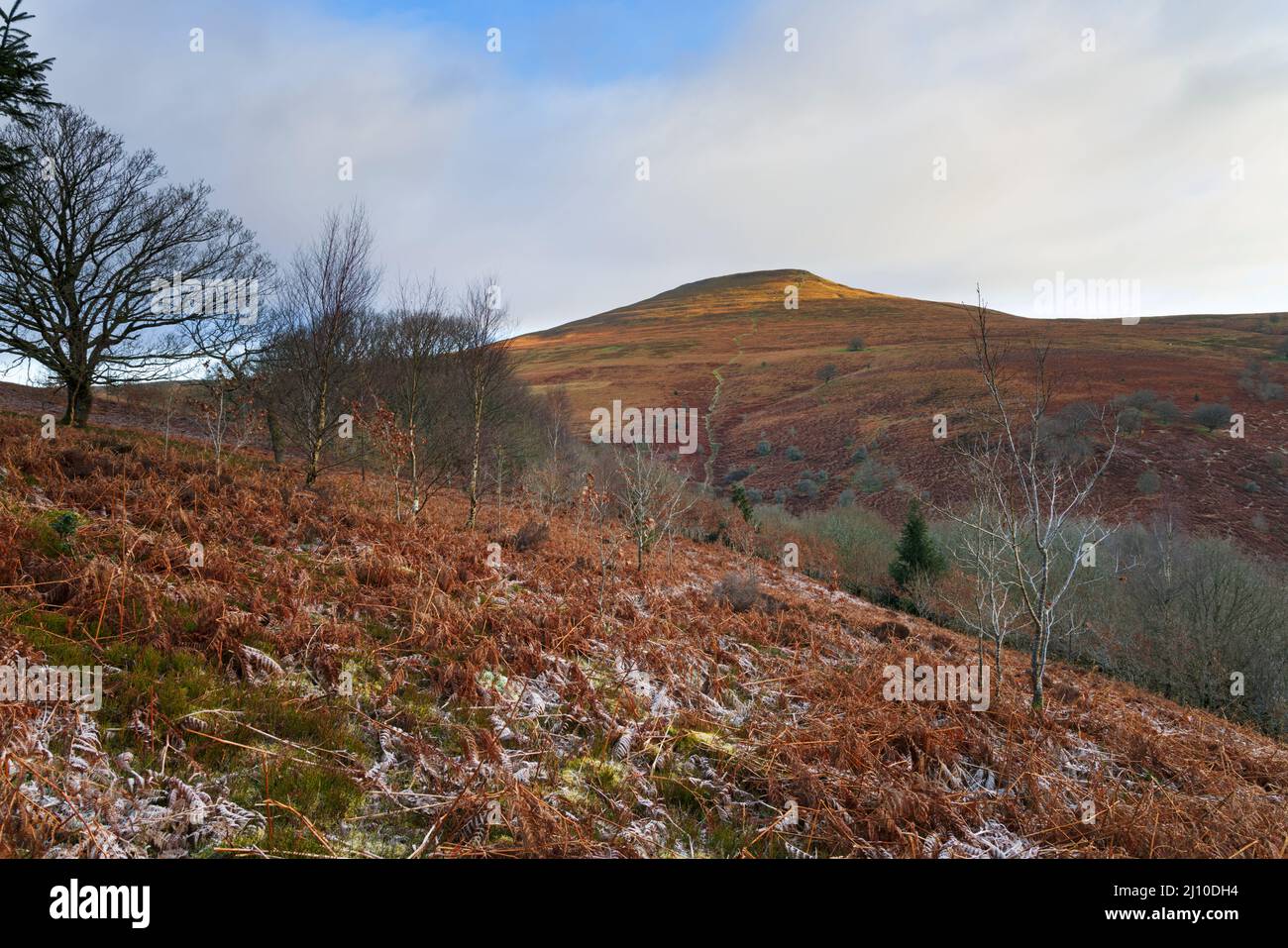 The Sugar Loaf mountain near Abergavenny, South Wales. Stock Photo