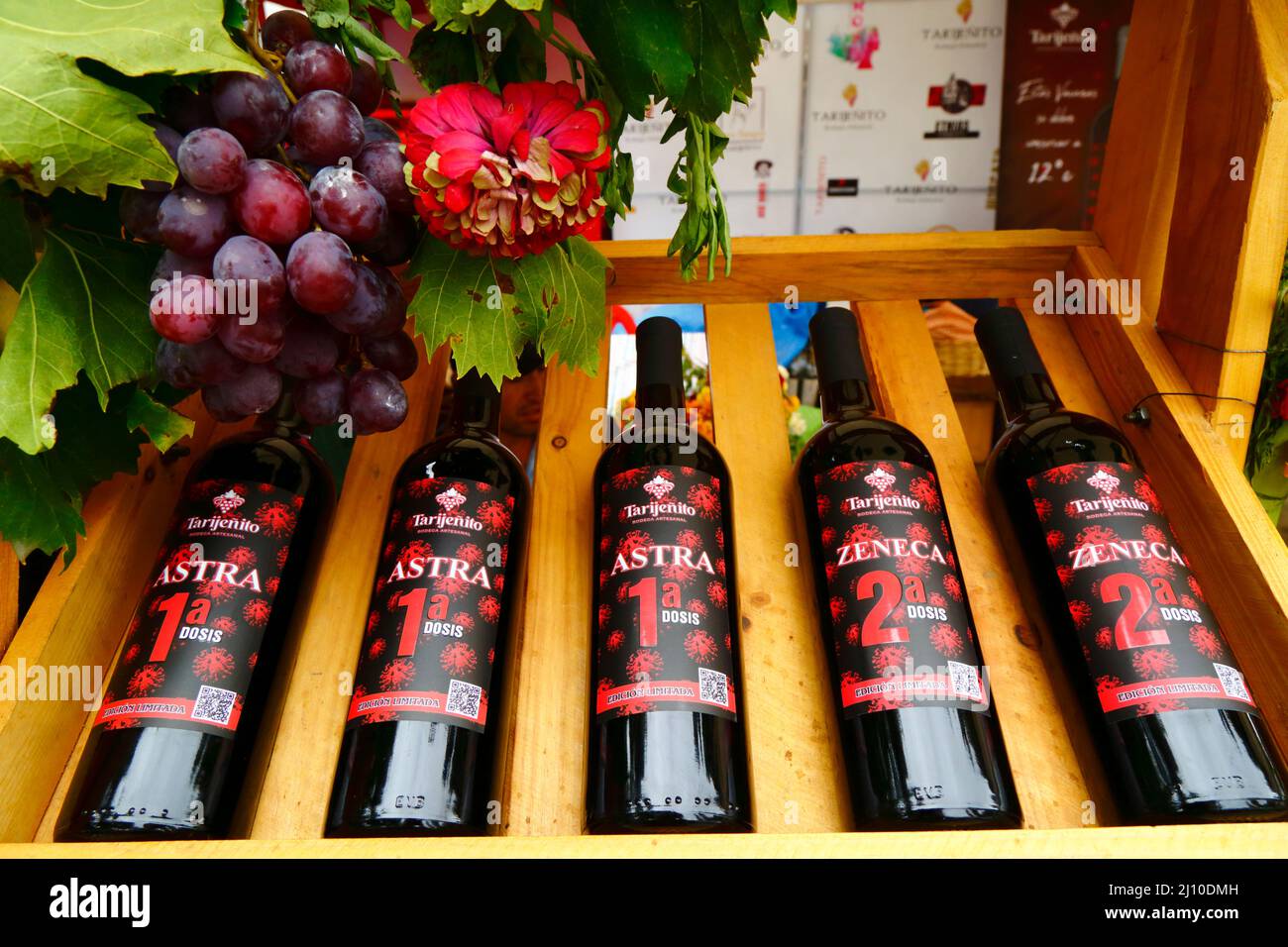 Sunday 20th March 2022: Covid vaccine themed wines 'Astra 1st dose' and 'Zeneca 2nd dose' by the artesanal winery Tarijeñito on display at the Vendemia wine festival in Uriondo, Concepcion Valley, near Tarija, Bolivia. This is the first year the festival, which takes place after the grape harvest, has been held since the covid-19 pandemic started in March 2020. The Concepcion Valley near Tarija is the largest grape growing and wine making region in Bolivia. Stock Photo