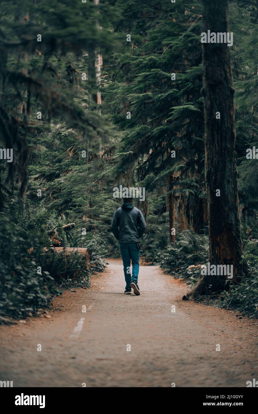 Shot of a man walking in the park on the pathway Stock Photo - Alamy