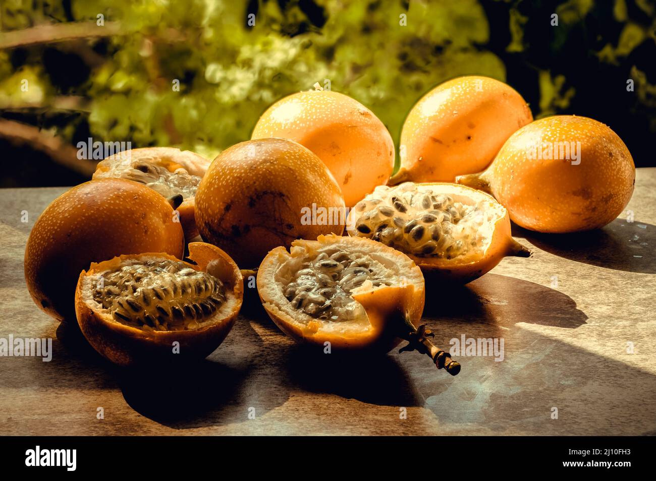 The photo shows an exotic fruit native to the tropics. The tropical