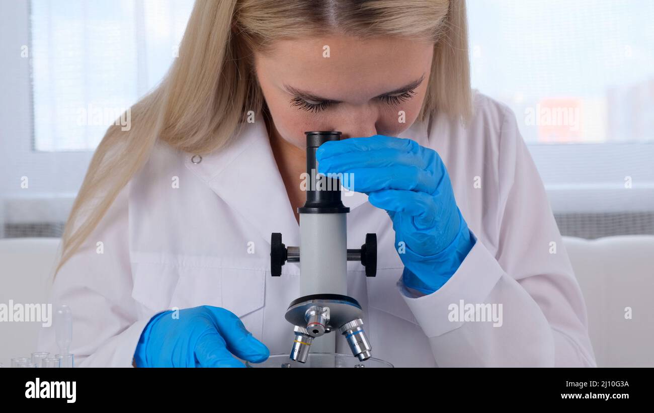 Female laboratory assistant analyzes samples using a microscope while working at a table in a laboratory, doing research Stock Photo