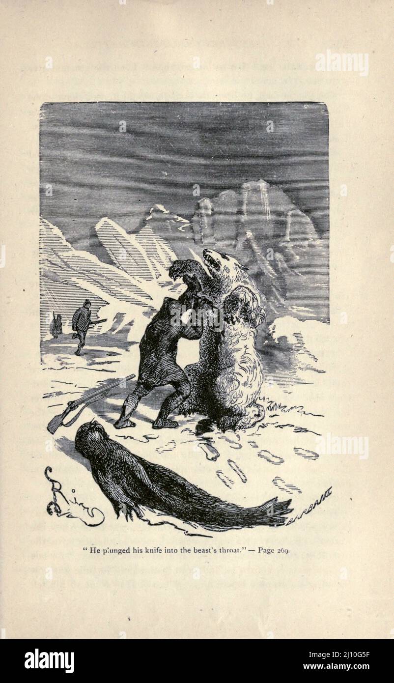 He plunged his knife into the beast's throat from the book ' The voyages and adventures of Captain Hatteras ' by Jules Verne, 1828-1905; Illustrated by Édouard Riou Publication date 1876, Publisher Boston : J. R. Osgood  The novel, set in 1861, described adventures of British expedition led by Captain John Hatteras to the North Pole.  Captain Hatteras shows many similarities with the English naval explorer Sir John Franklin. Stock Photo