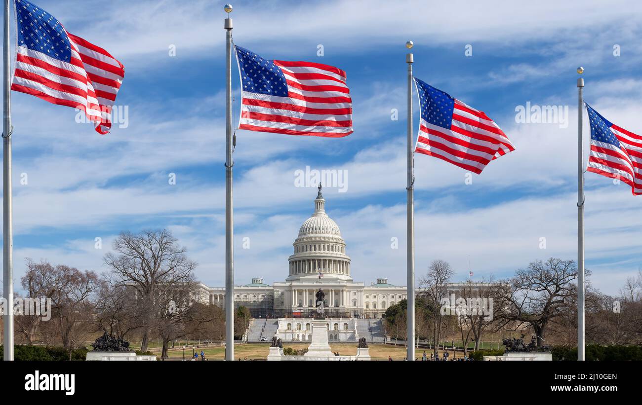The United States Capitol Building and American flags in Washington DC, USA. Stock Photo