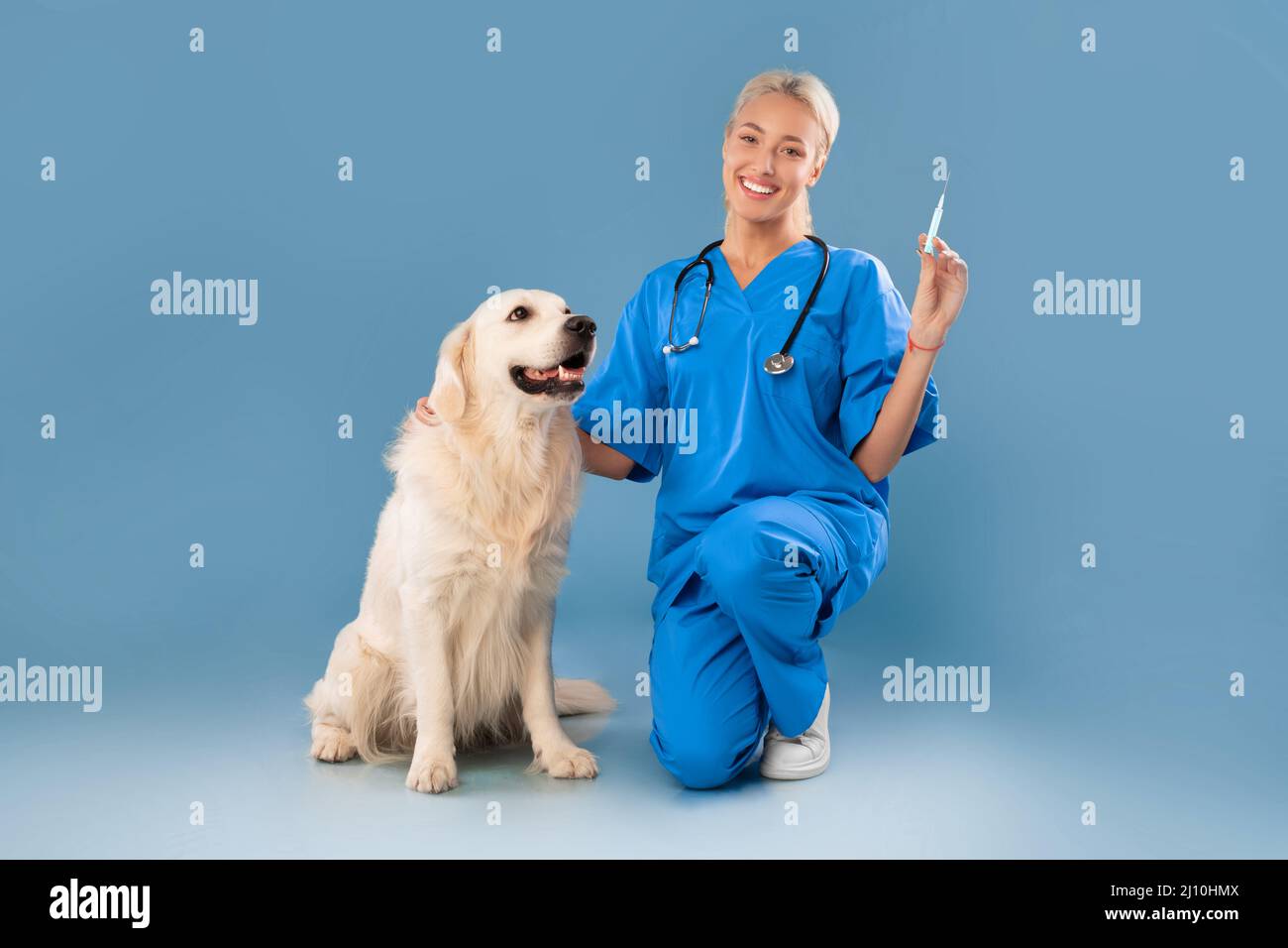 Nurse In Scrubs Uniform Posing With Dog Holding Syringe Stock Photo