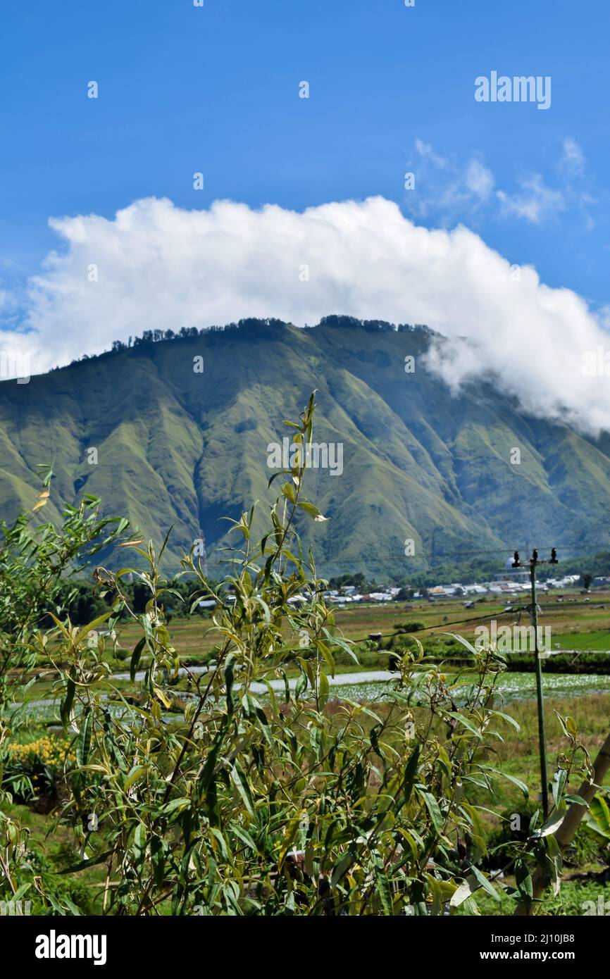Aerial view of some agricultural fields in Sembalun. Sembalun is situated on the slope of mount Rinjani and is surrounded by beautiful green mountains Stock Photo