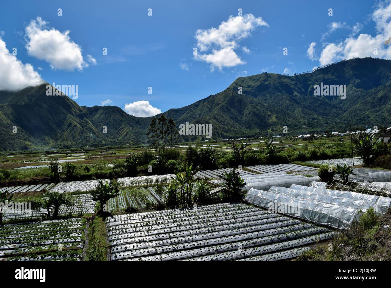 Aerial view of some agricultural fields in Sembalun. Sembalun is situated on the slope of mount Rinjani and is surrounded by beautiful green mountains Stock Photo