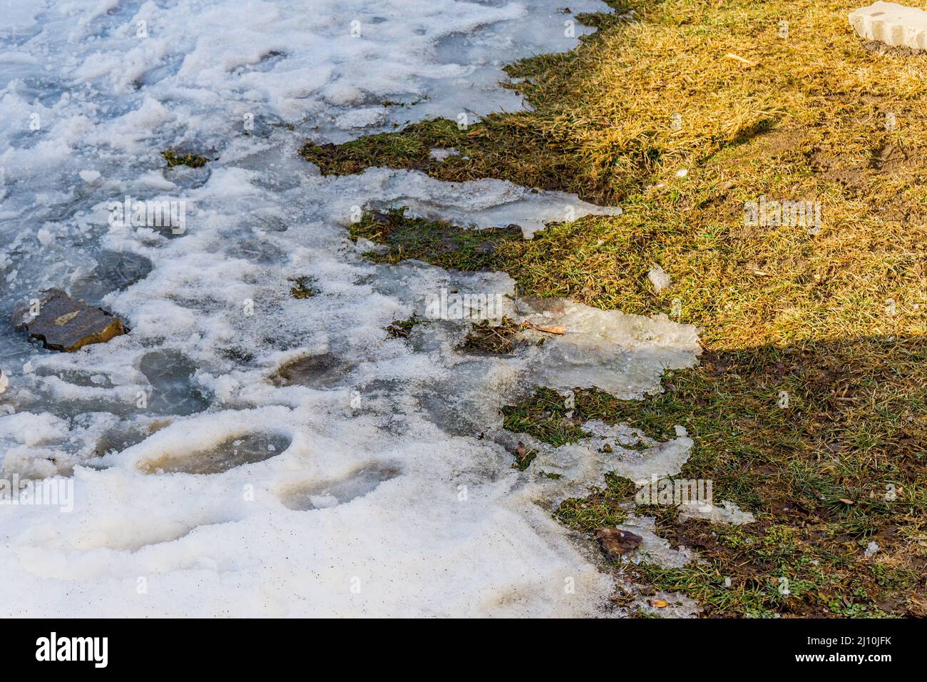 Snow melting away on the ground revealing the grass underneath