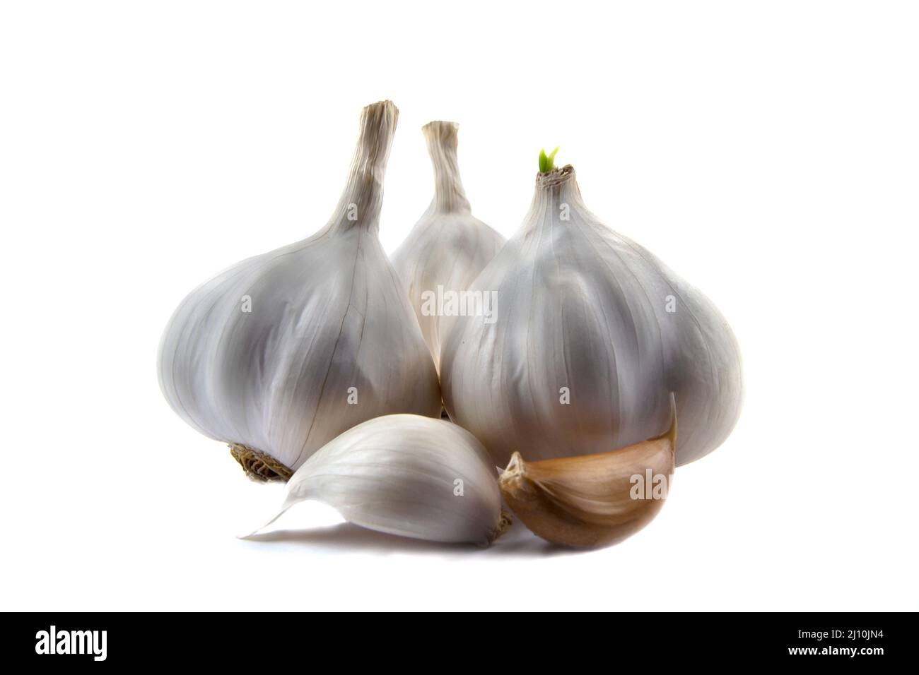 Garlic clove and bulb isolated on white background Stock Photo - Alamy