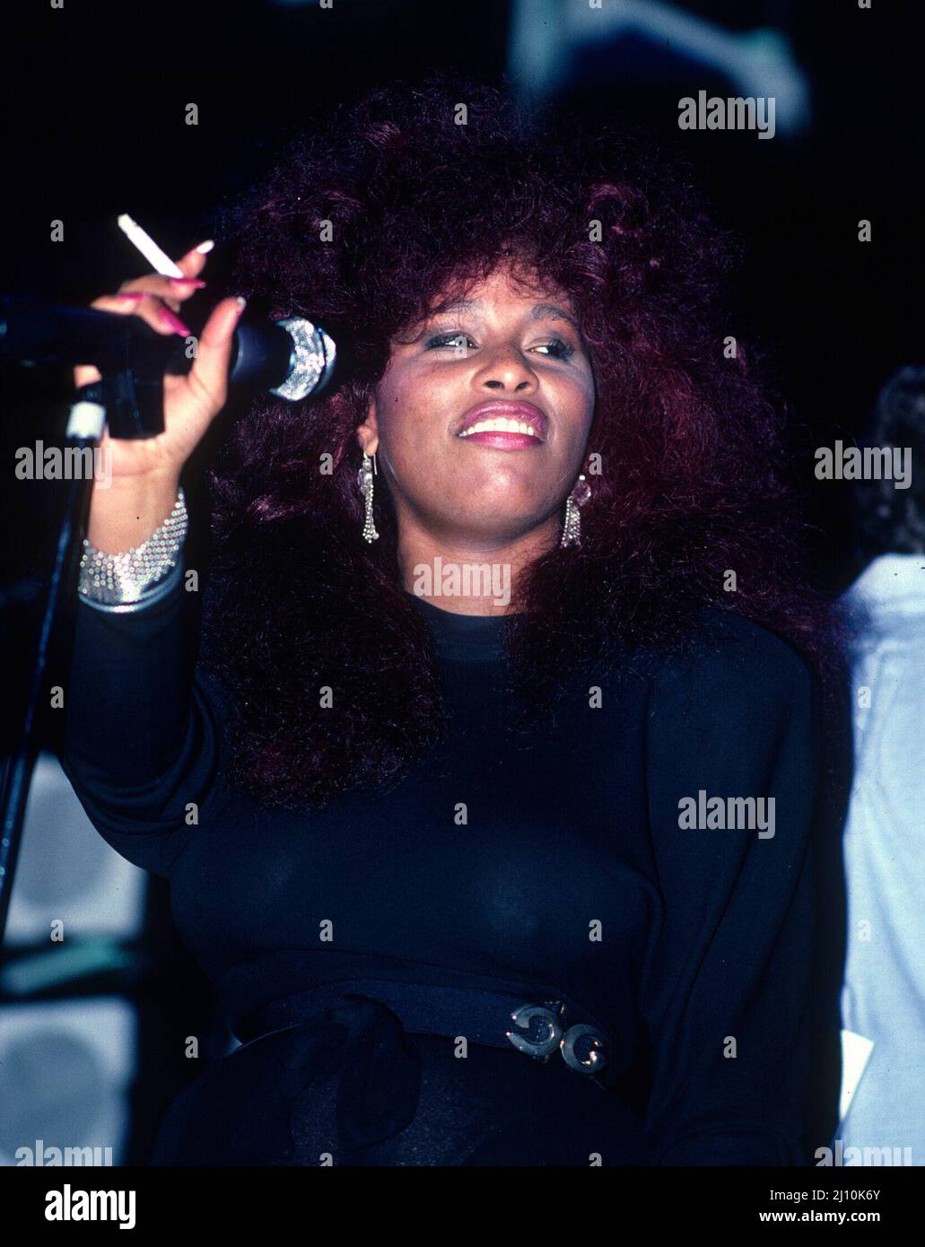 Chaka Khan Performing at Lou Rawls United Negro College Fund, 2006 Credit:  Ron Wolfson / MediaPunch Stock Photo