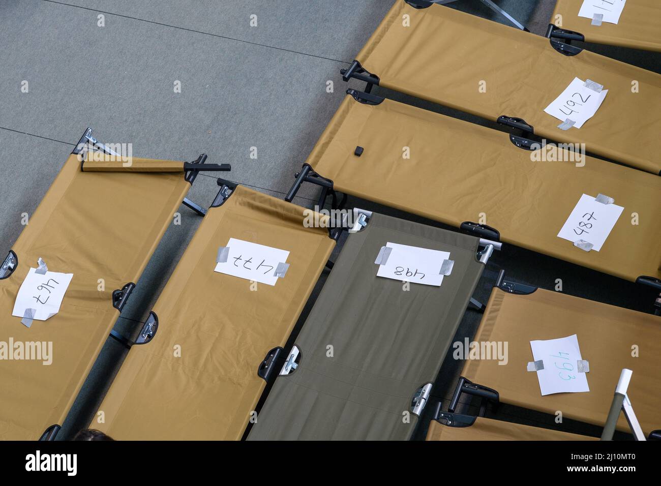 21 March 2022, SaxonyAnhalt, Halle (Saale) Cots with numbers stand