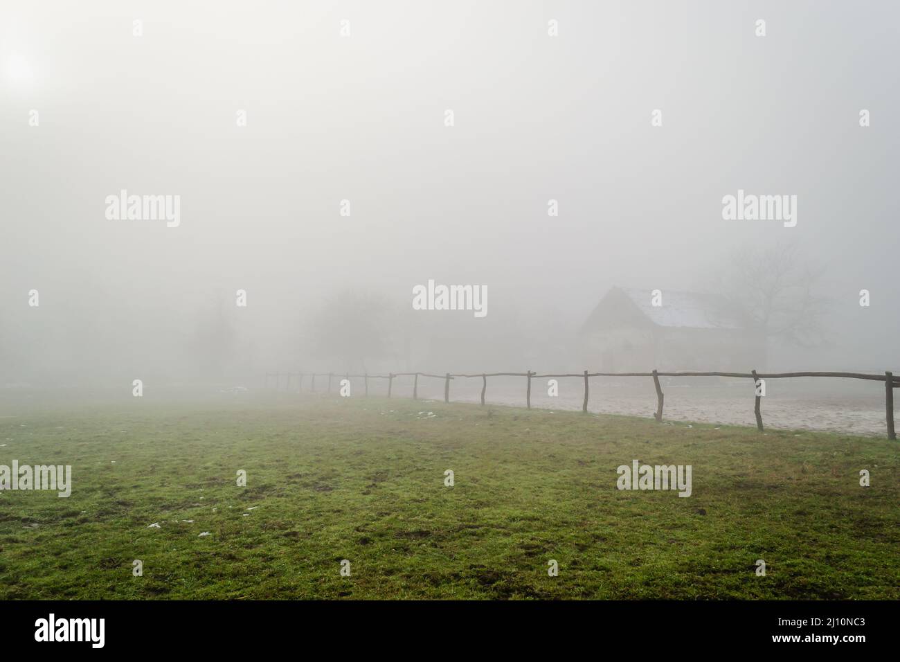 Mysterious forest covered thick fog hi-res stock photography and images ...