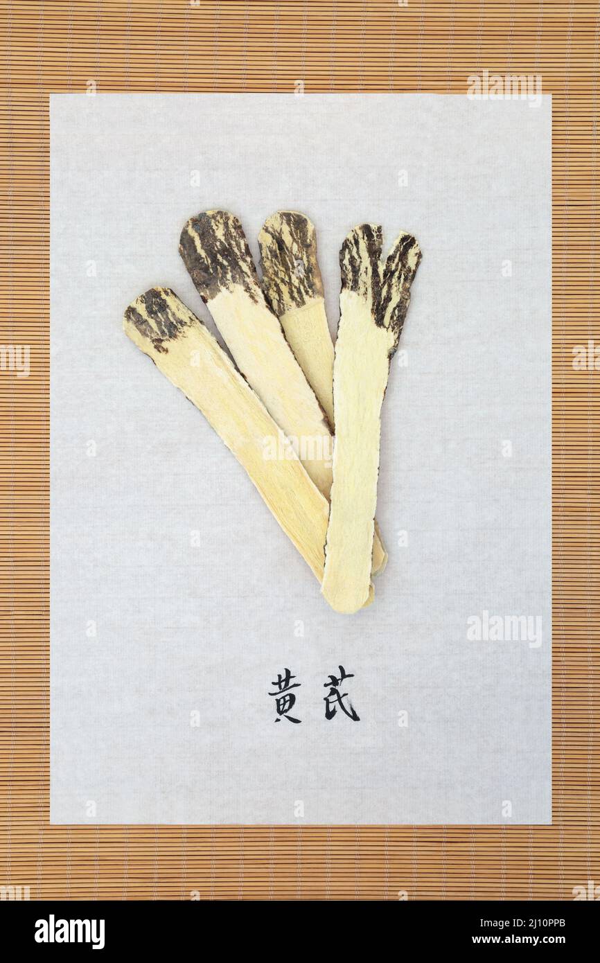 Astragalus herb root with calligraphy script on rice paper used in Chinese herbal medicine to boost immune system, is anti ageing, anti inflammatory. Stock Photo